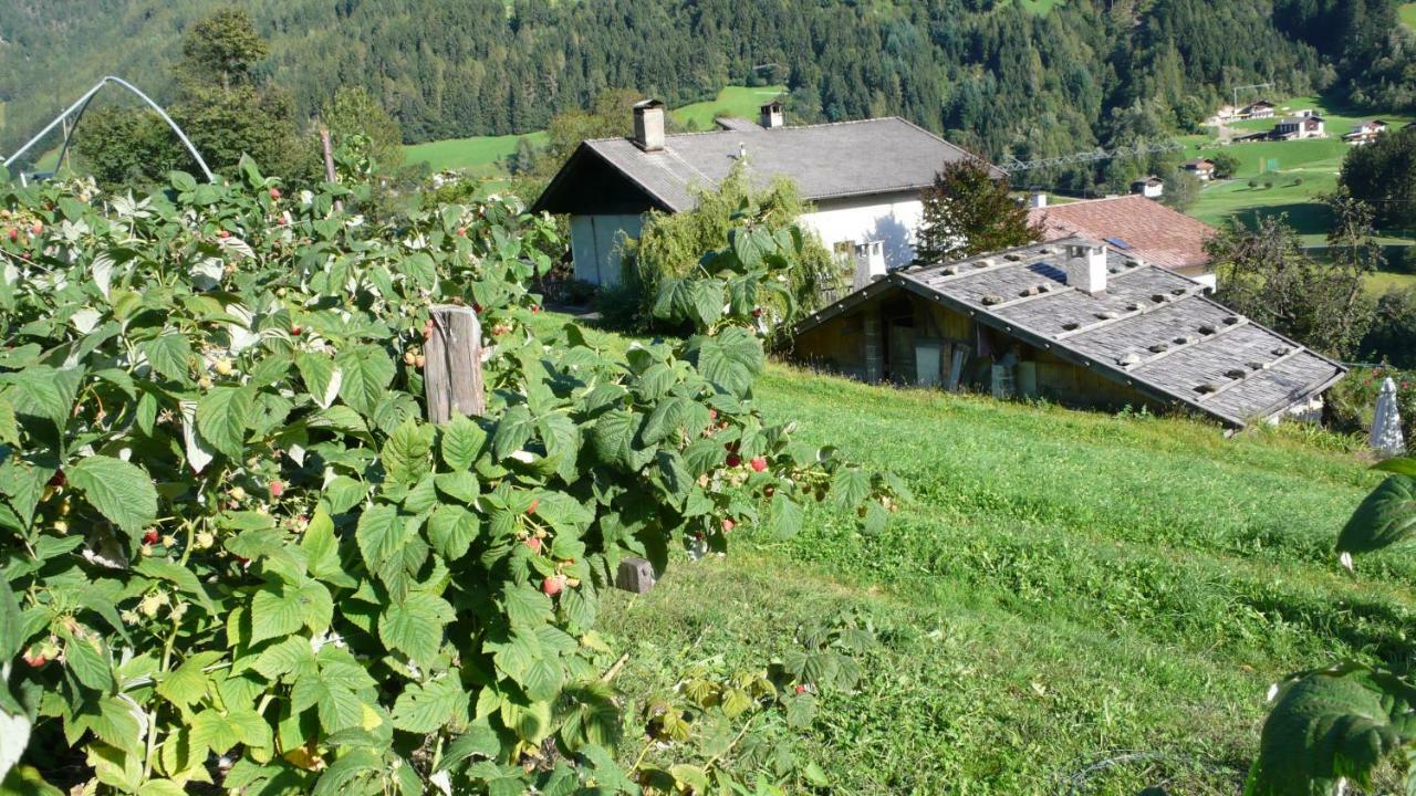 Apartamento Obergereuth Hof 1288 San Martino in Passiria Exterior foto