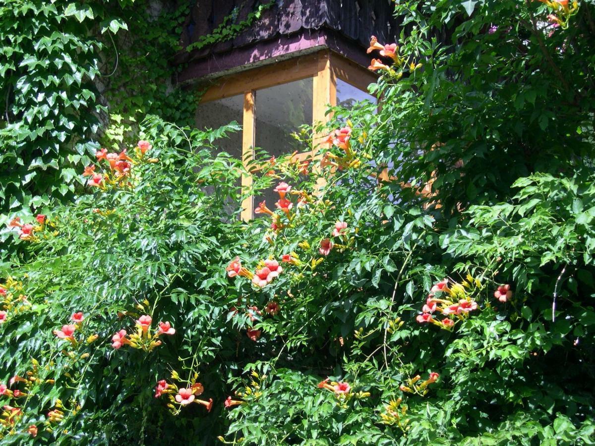 Apartamento Obergereuth Hof 1288 San Martino in Passiria Exterior foto